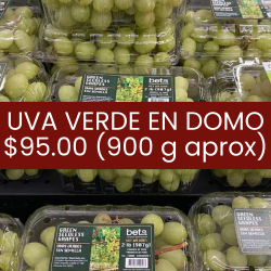 Uva verde en domo