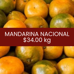 Mandarina nacional