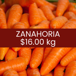 Zanahoria