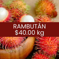 Rambután