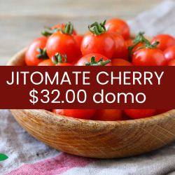 Jitomate cherry (domo)