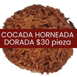 Cocada horneada dorada