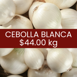 Cebolla blanca