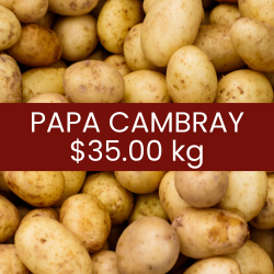 Papa cambray