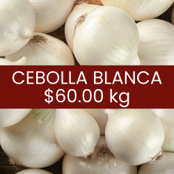 Cebolla blanca