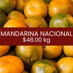 Mandarina nacional