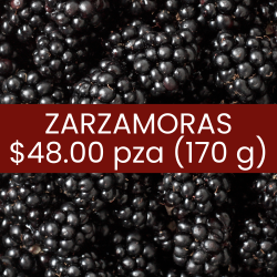Zarzamoras (170 g)