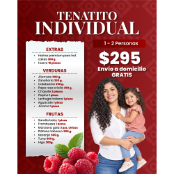 Tenatito individual 04 y 05...