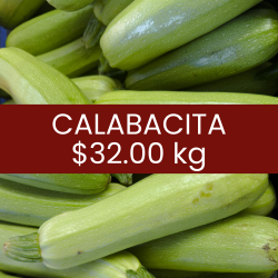 Calabacita italiana