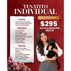 Tenatito individual 18 y 19...