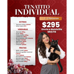 Tenatito individual 18 y 19...